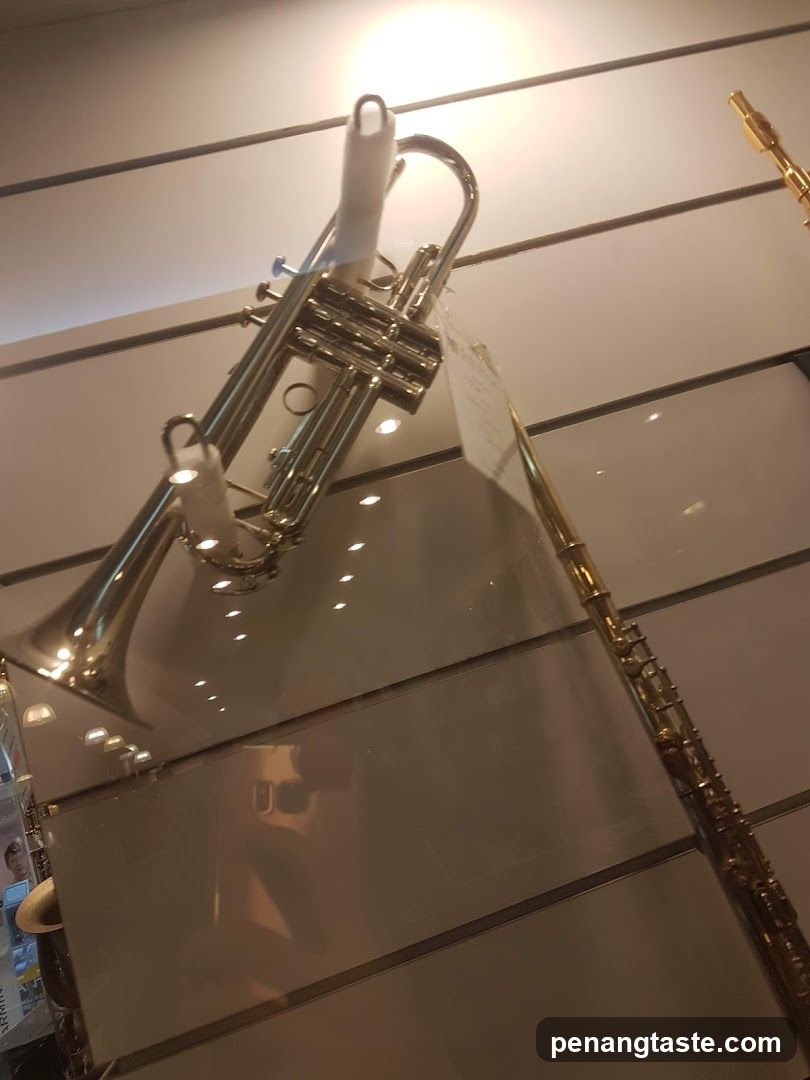 Musical Instruments on Display