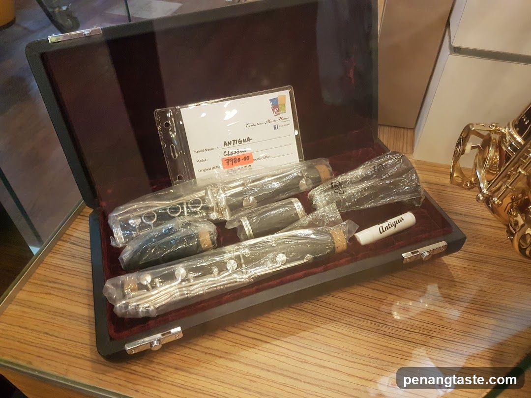 Clarinet in a Case
