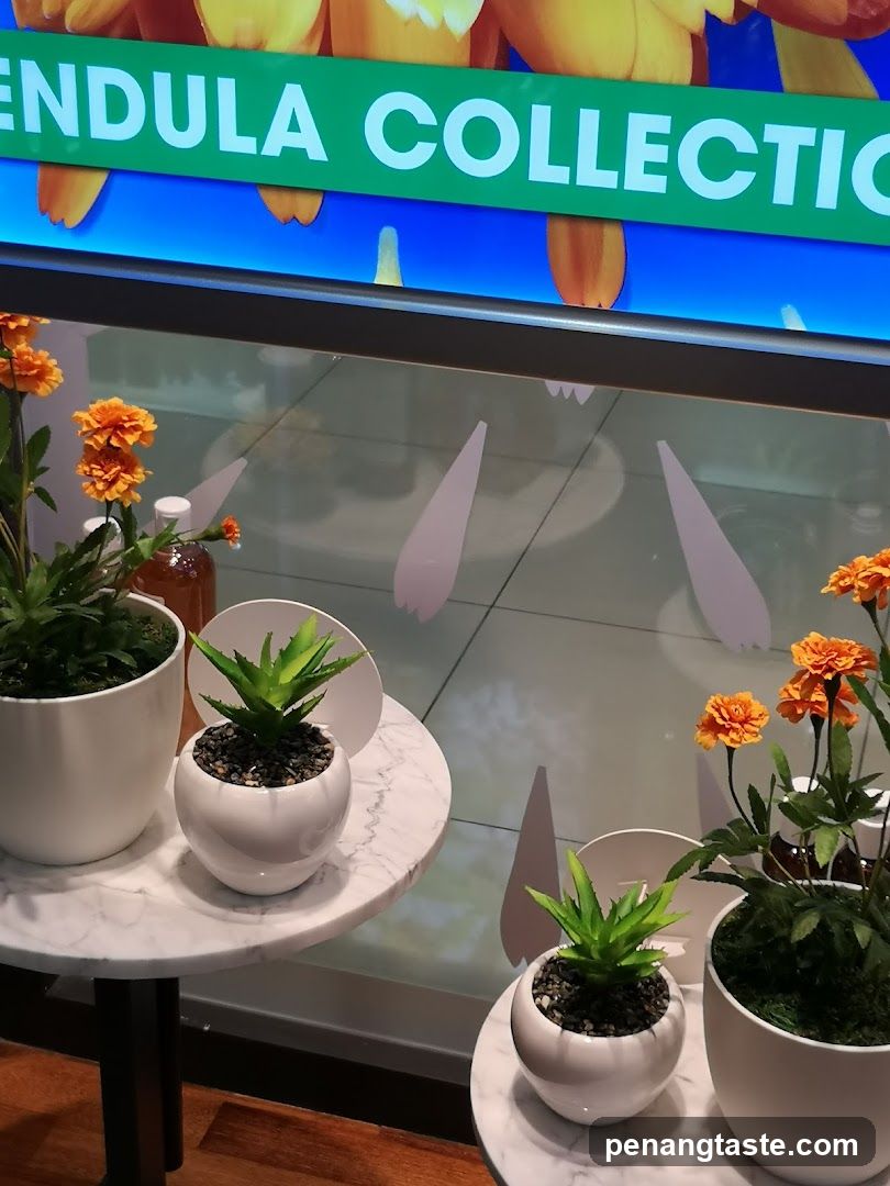 Marigold Collection Display