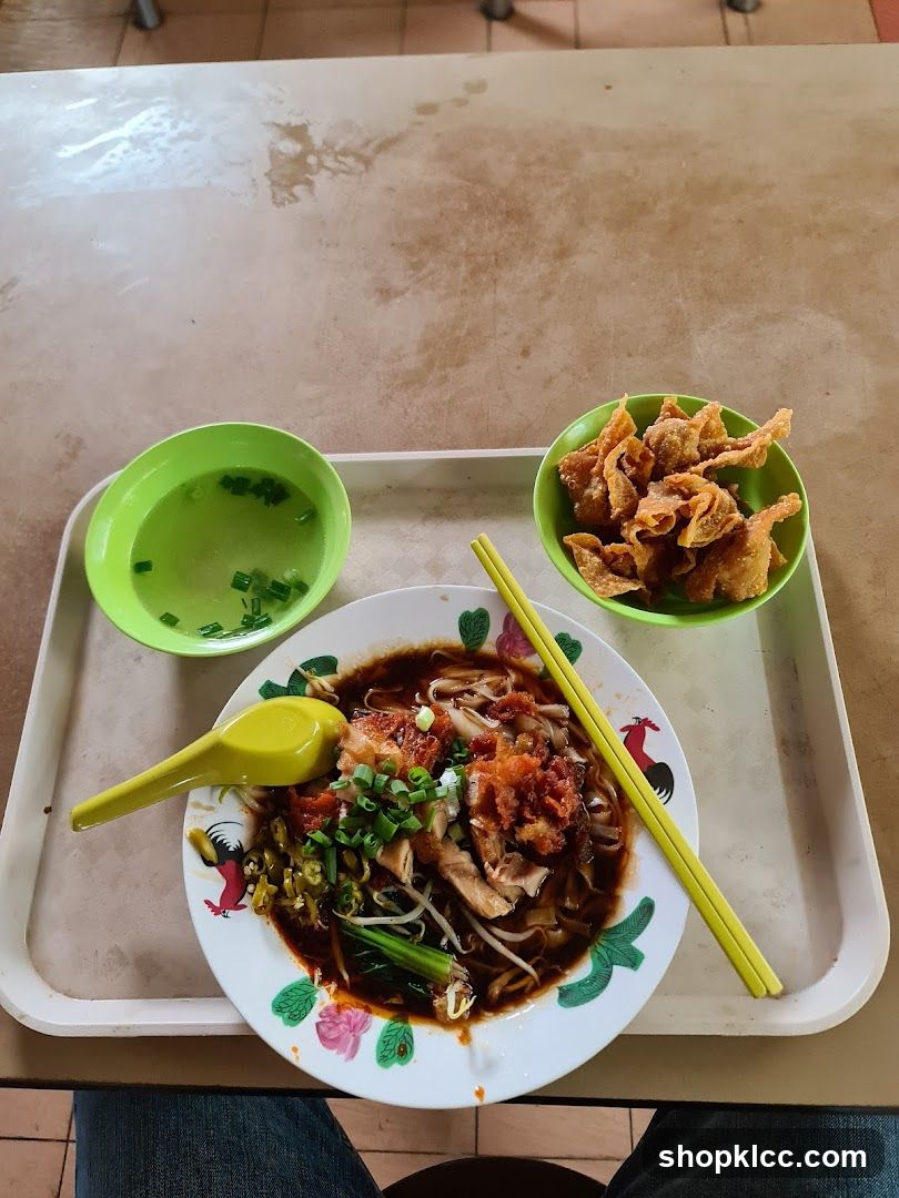 Noodle Dish with Side of Fried Wontons