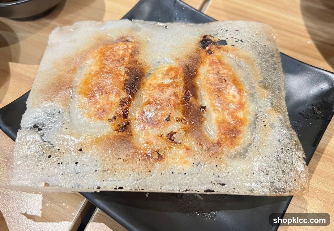 Pan-fried dumplings