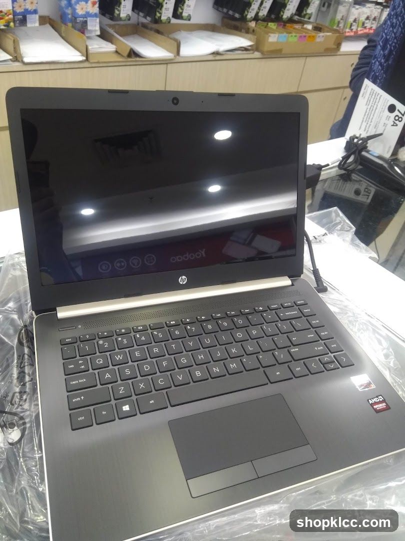 HP Laptop Display