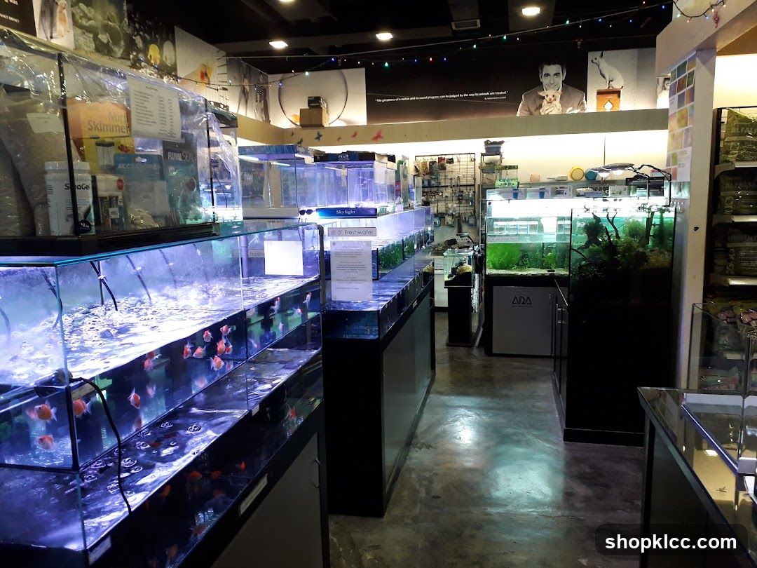 Aquarium Store Interior
