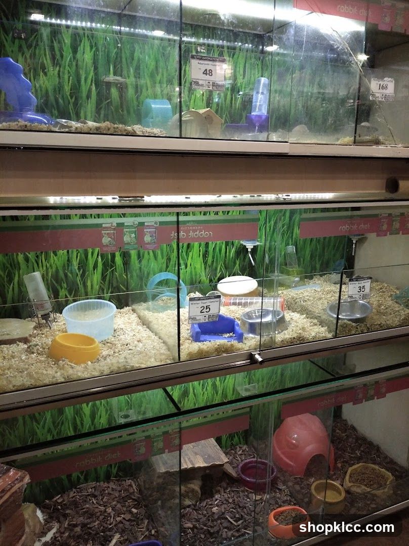 Pet Store Small Animal Enclosures