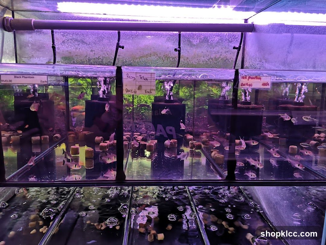 Fish Tanks with Price Labels