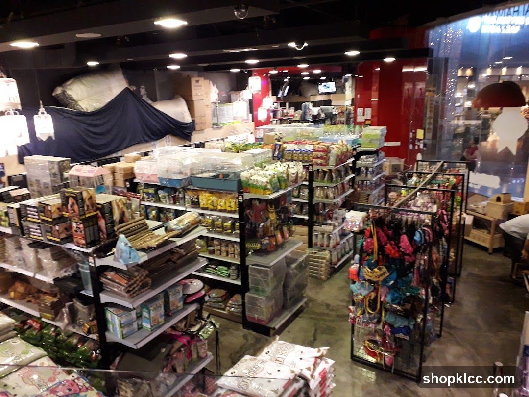 Pet Store Interior