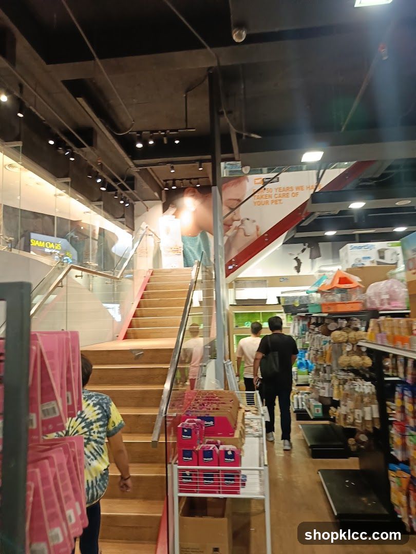 Pet Store Interior