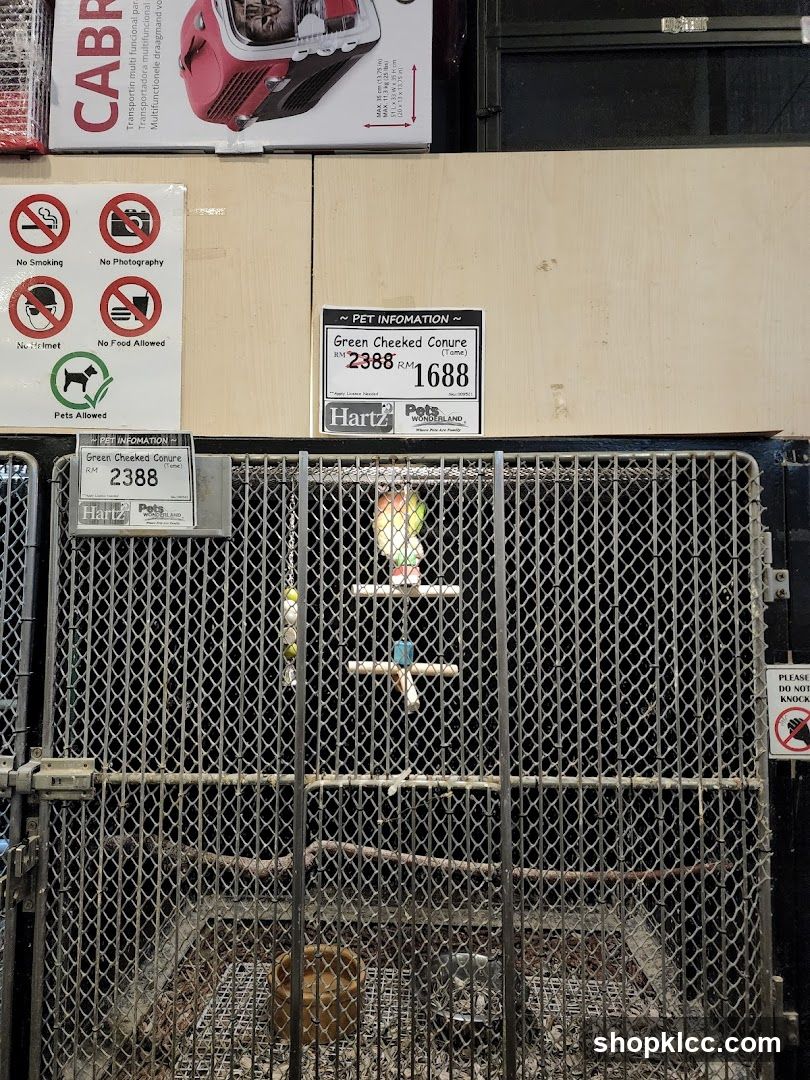 Pet Store Display