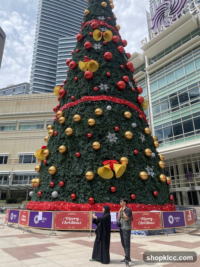 Christmas Tree Display