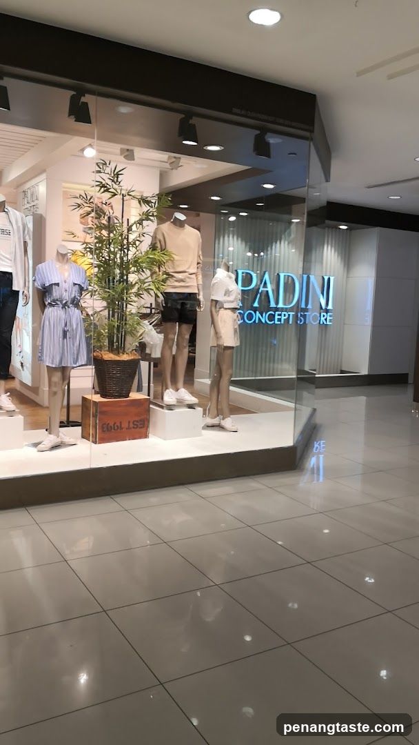 Padini