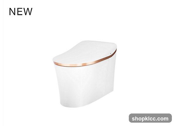 New Smart Toilet