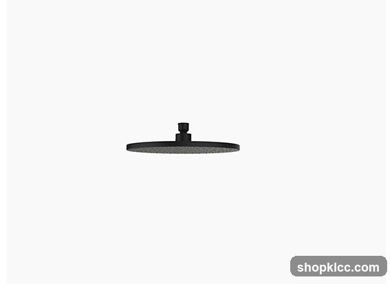 Black Shower Head