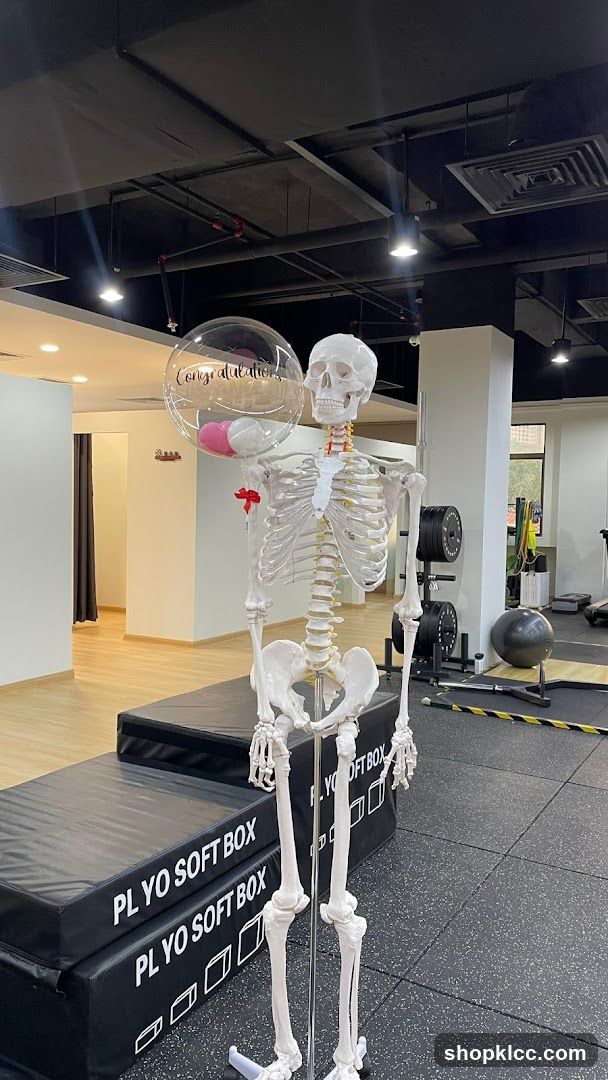 Skeleton with Congratulations Balloon in Gym