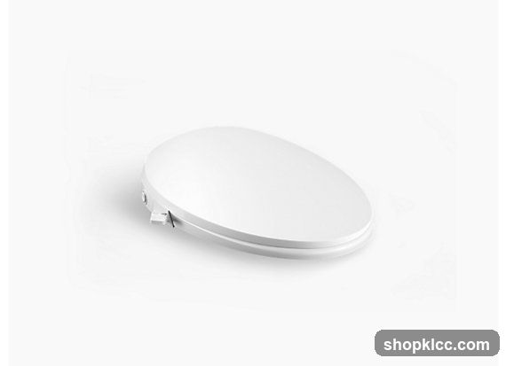 White Toilet Seat