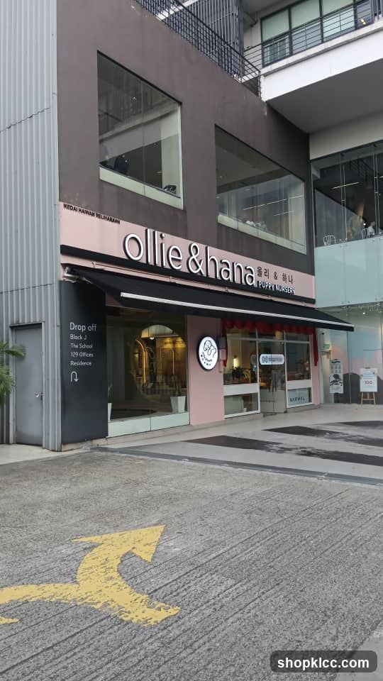 Ollie & Hana Shop Front