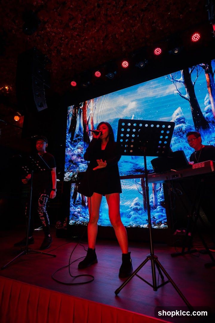 Live Music Performance on Stage