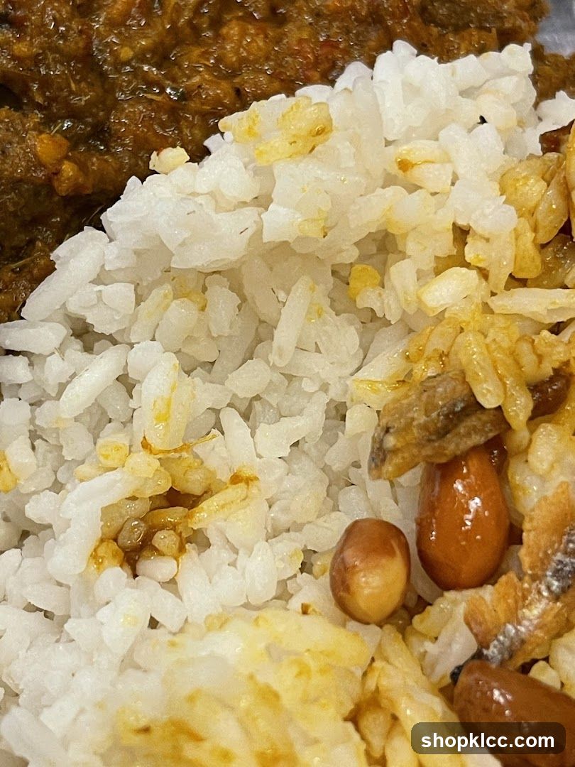 Rice and Curry Dish