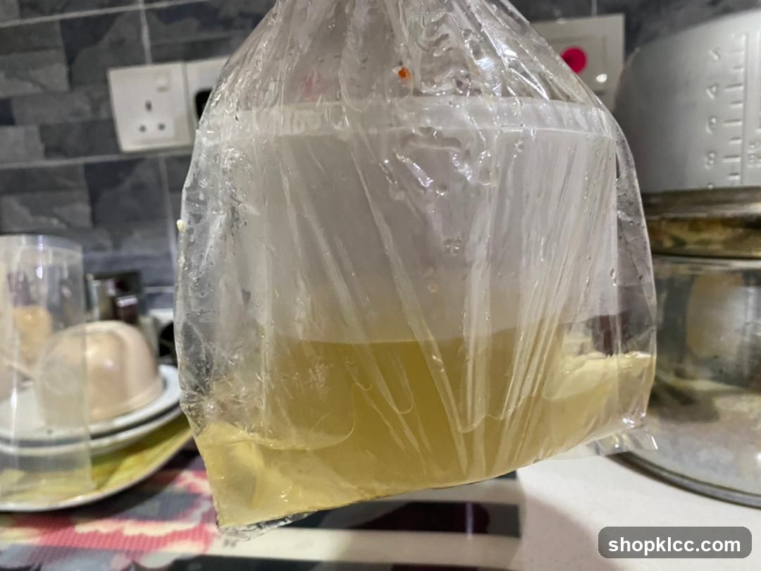 Plastic Bag with Liquid