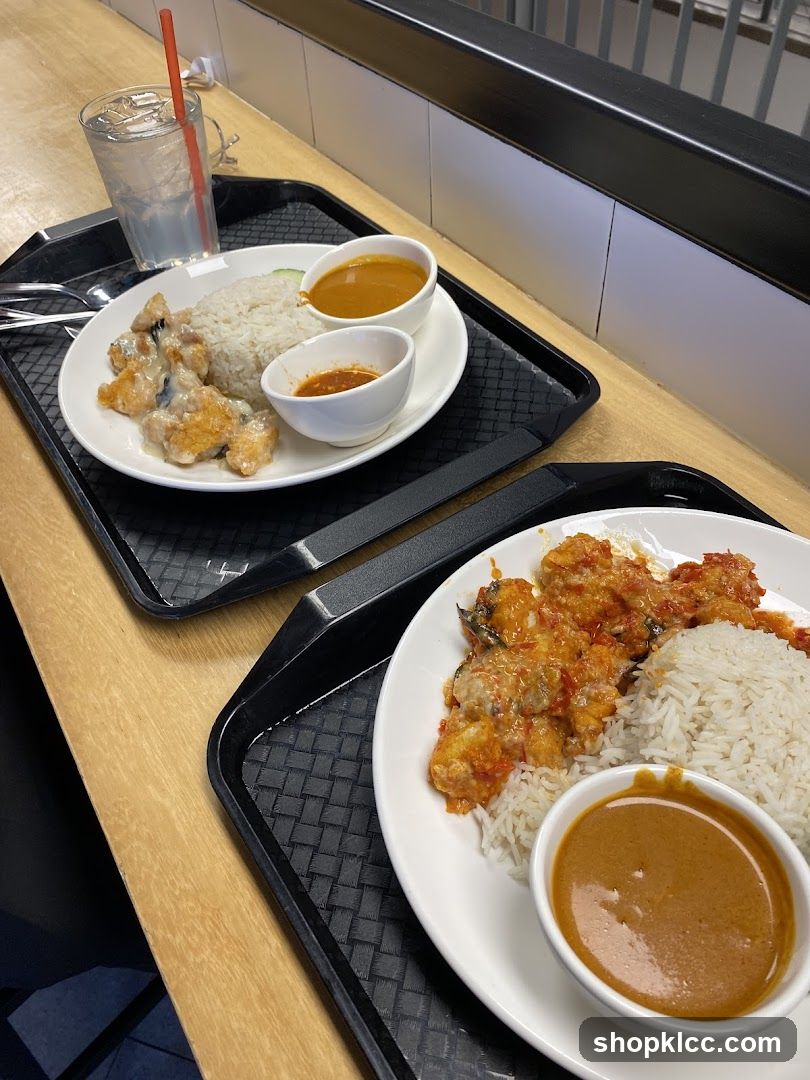 Food Trays with Rice and Curry