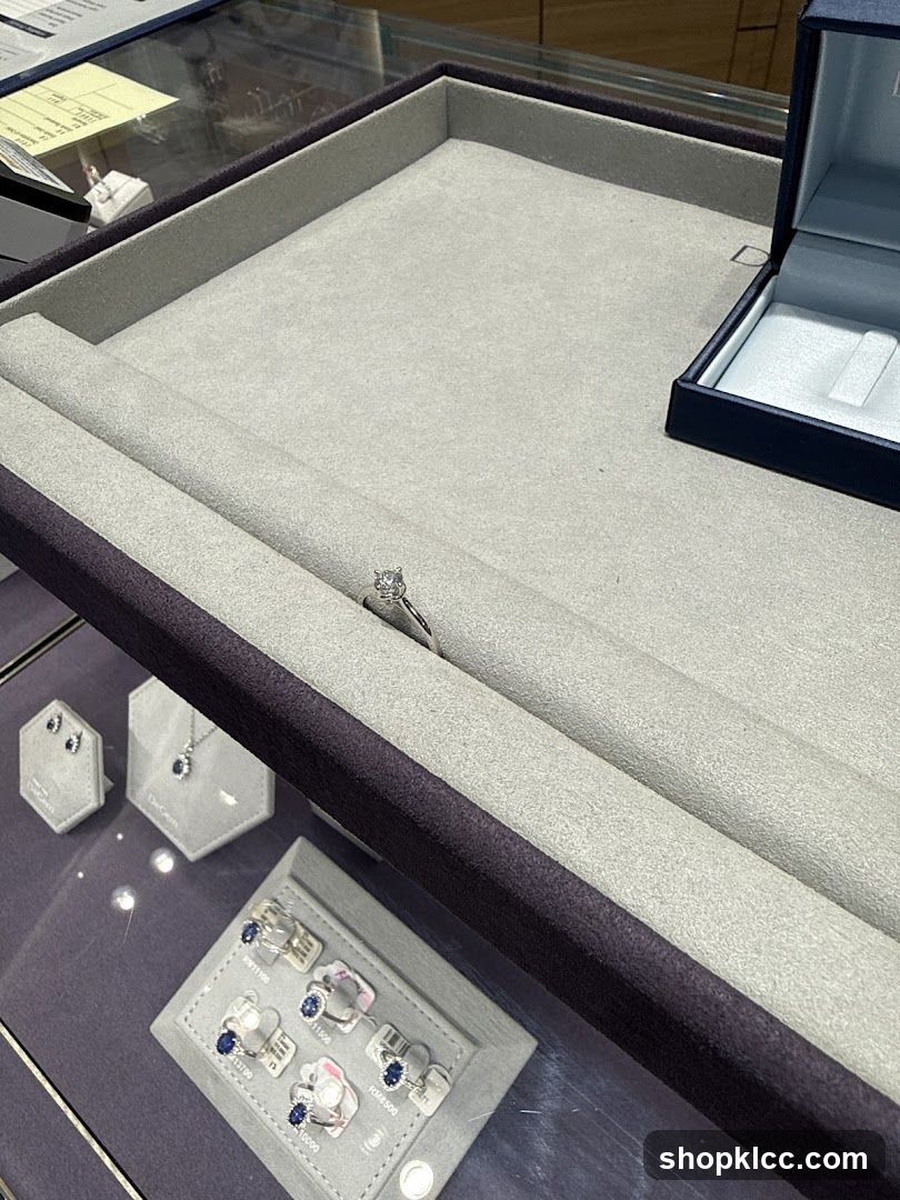 Jewelry Display Case