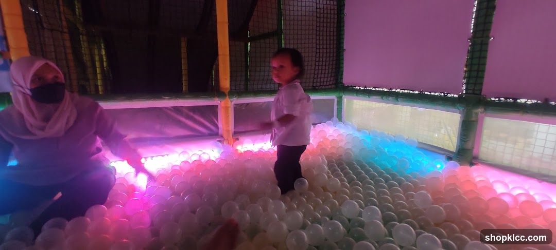 Ball Pit Play Area