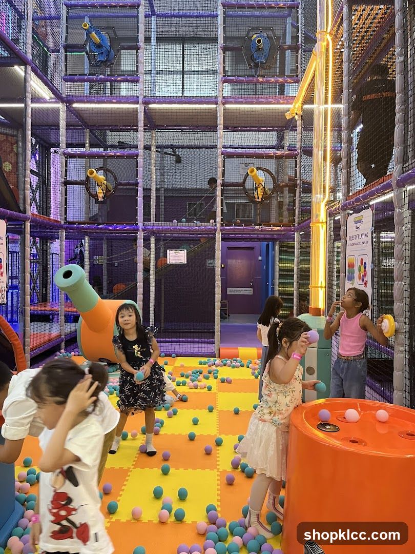 Indoor Play Area with Ball Pit