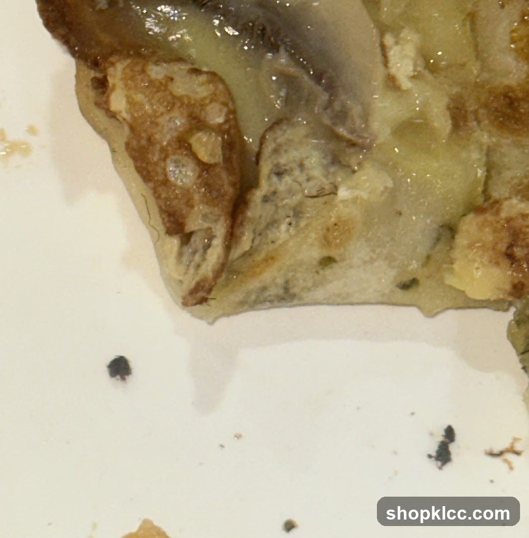 Food Fragment