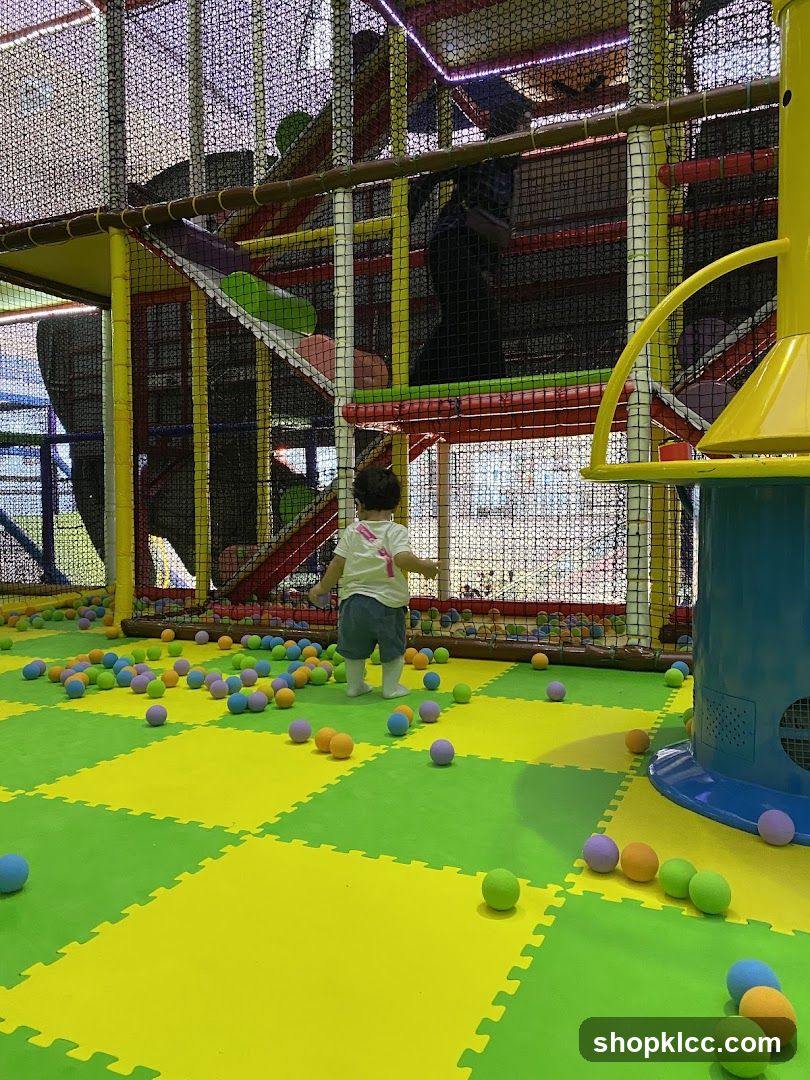 Indoor Play Area with Ball Pit