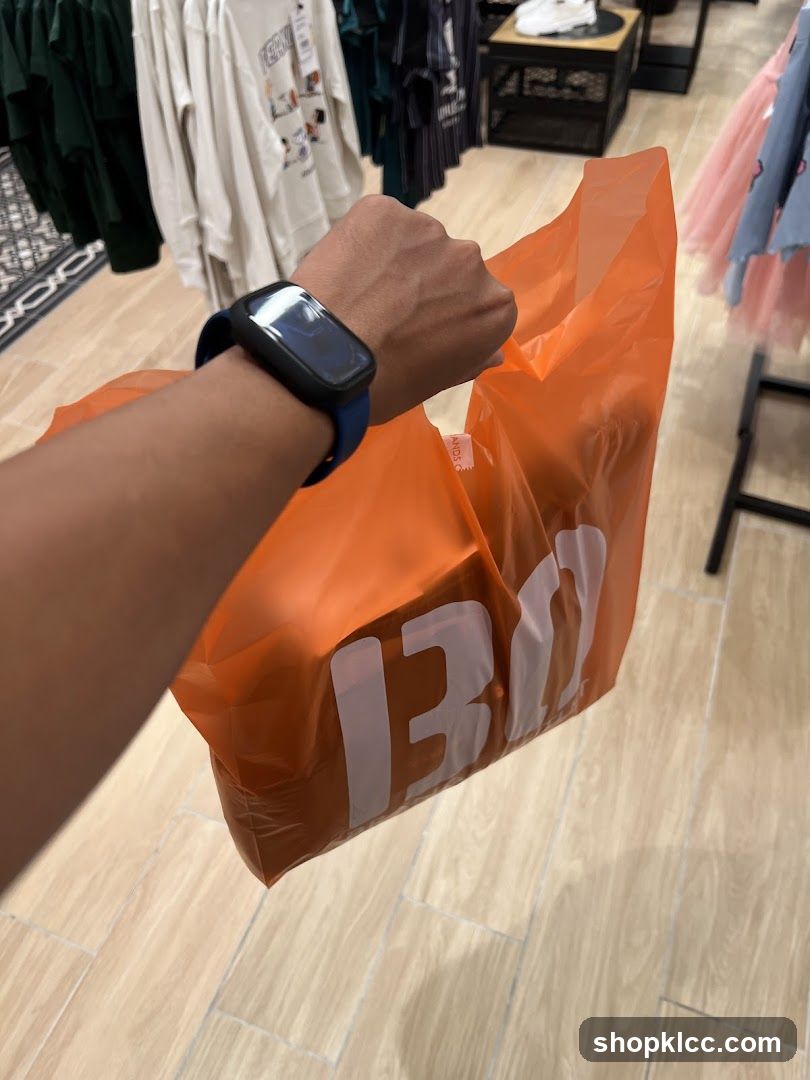 Person holding a shopping bag