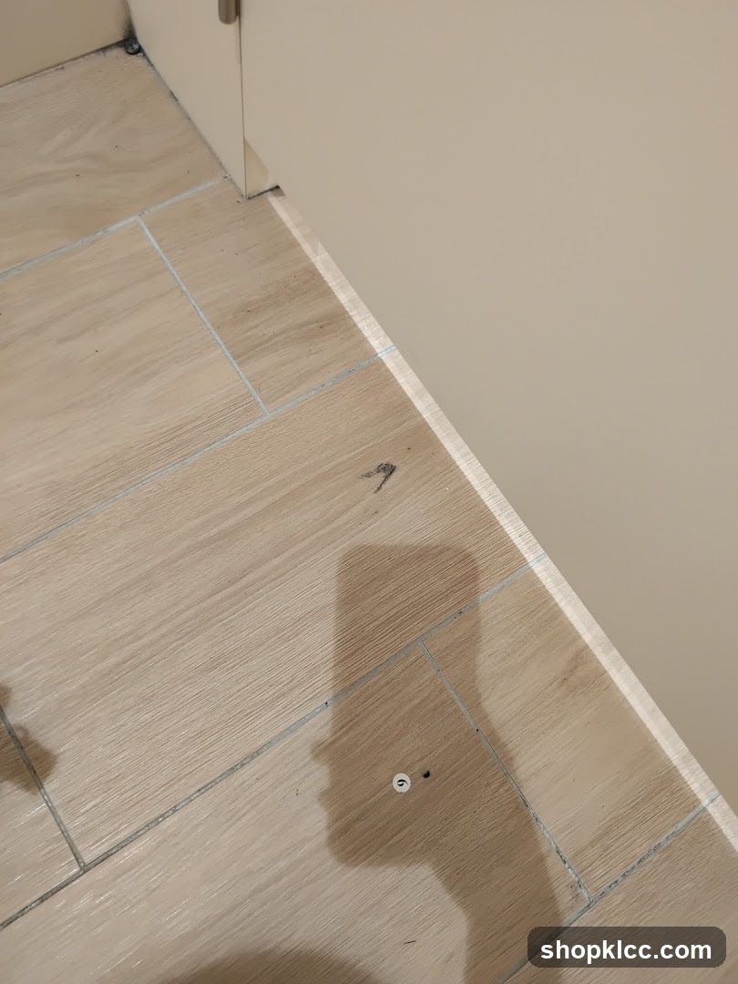 Floor and Wall Corner