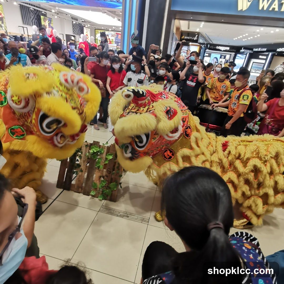 Lion Dance Performance