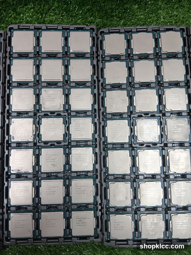 Computer Processors