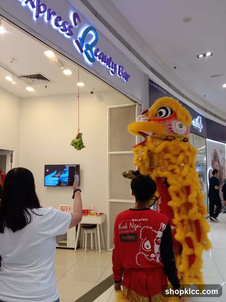 Lion Dance Performance