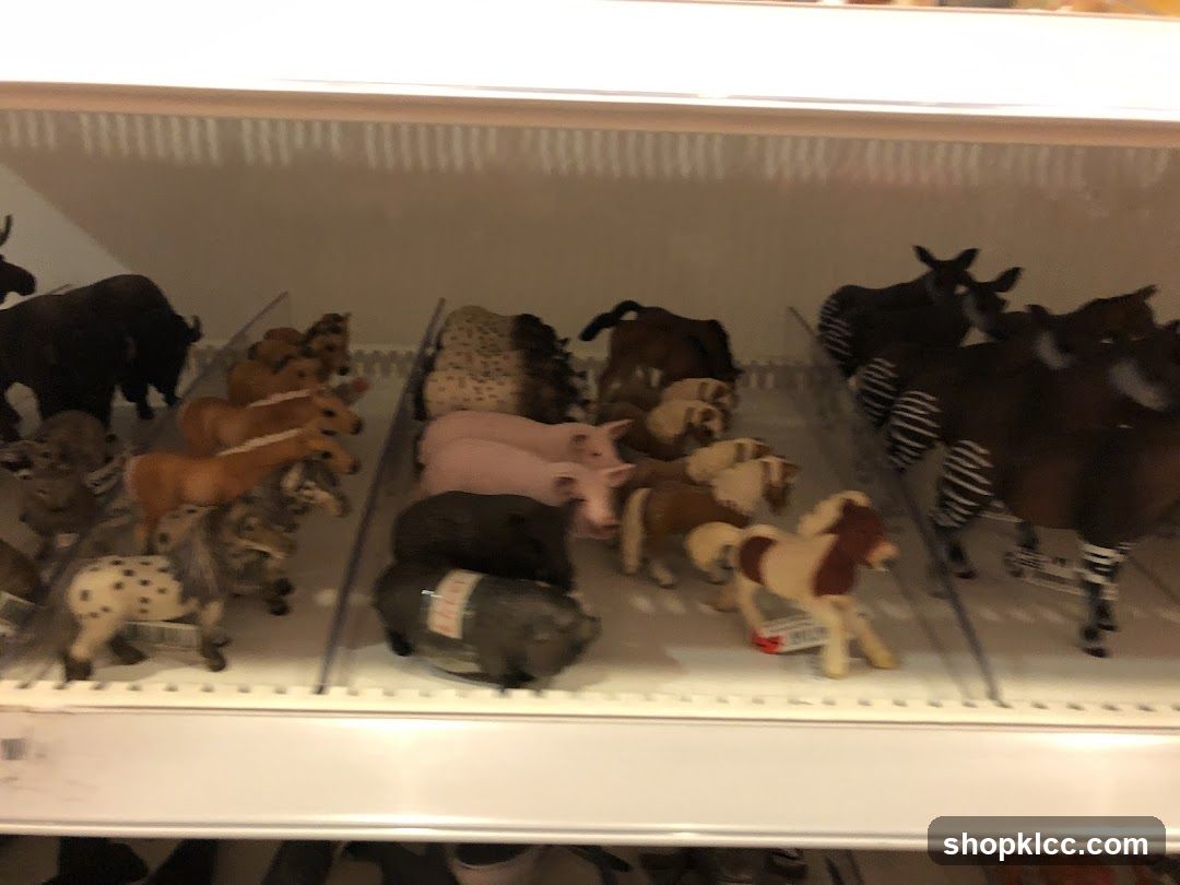 Toy Animal Display