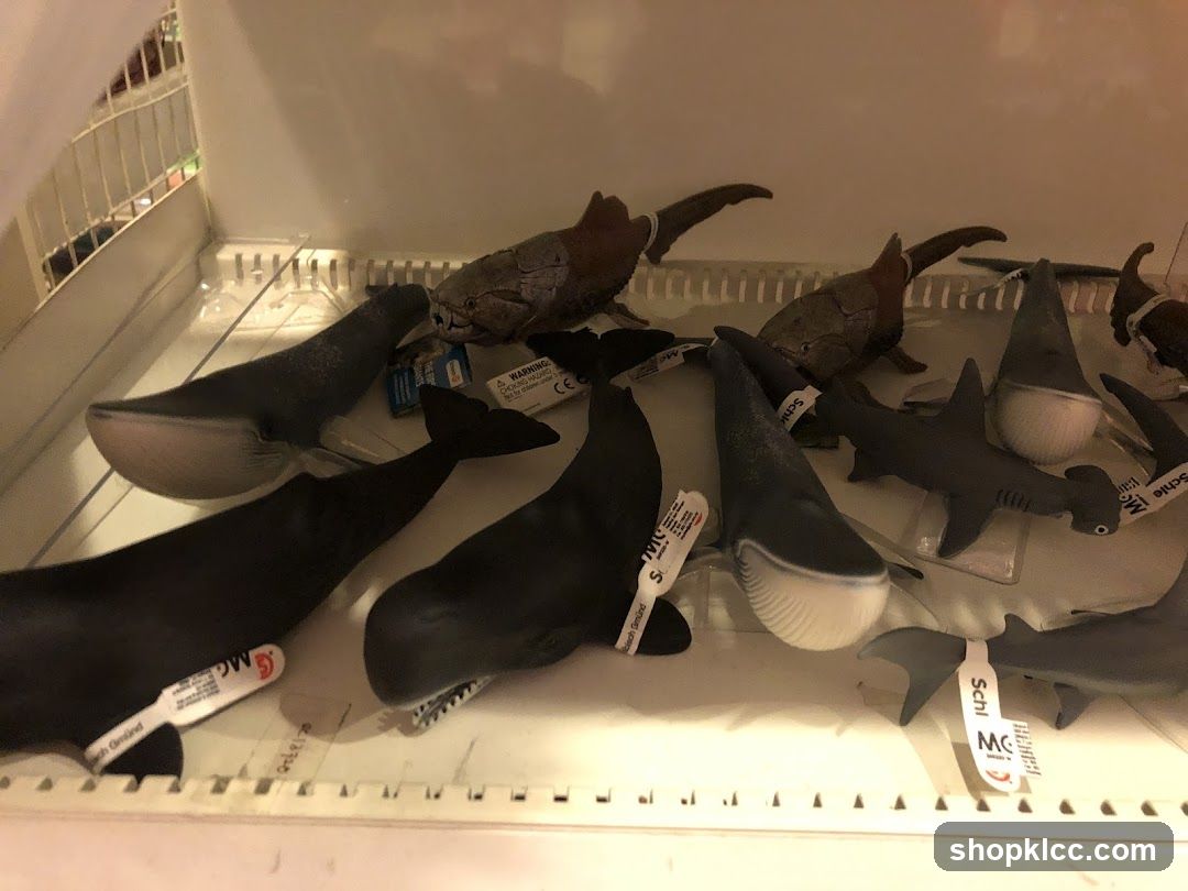 Toy Shark and Whale Display