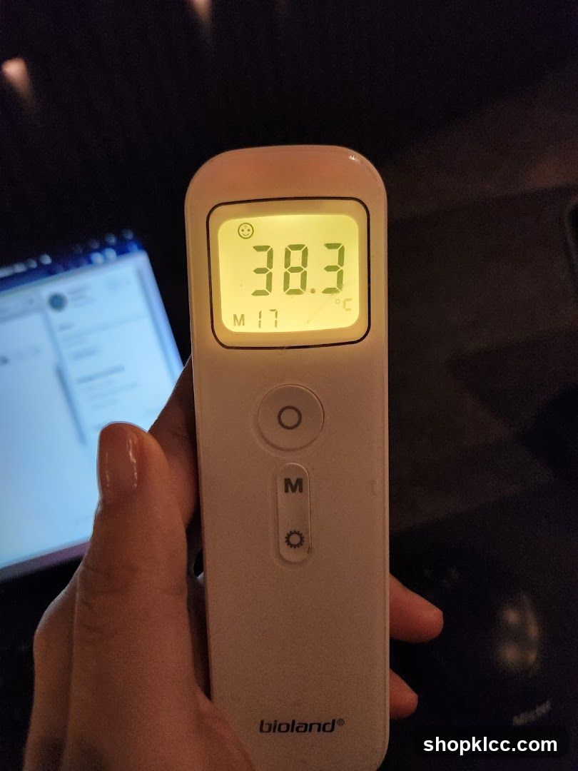 Thermometer Display