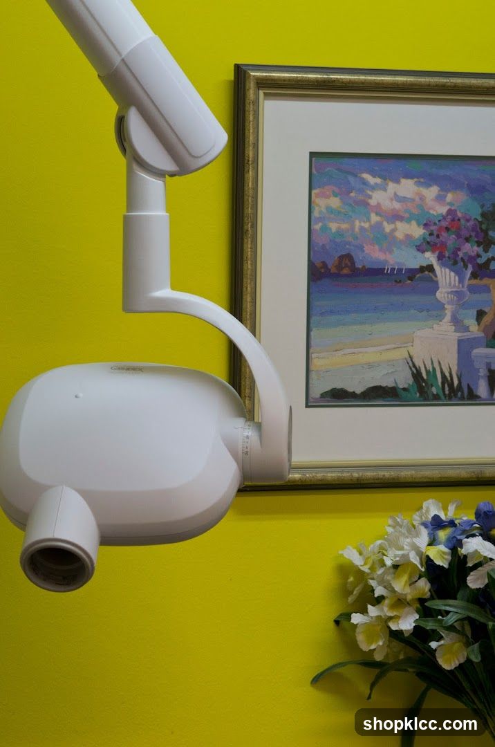 Dental Chair and Wall Art
