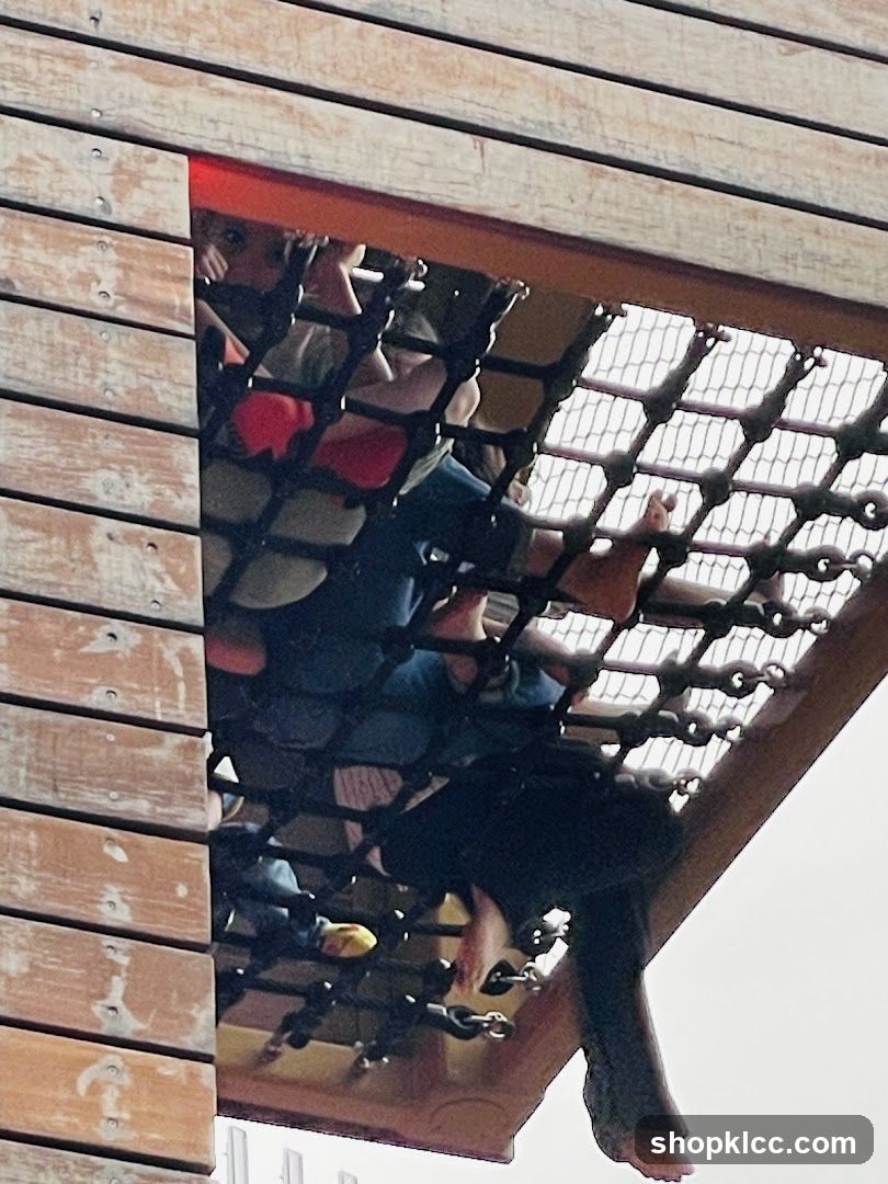 Children playing in a net structure