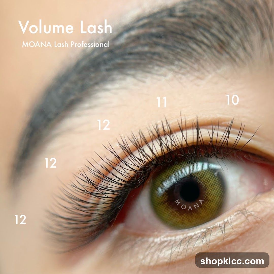 Volume Lash