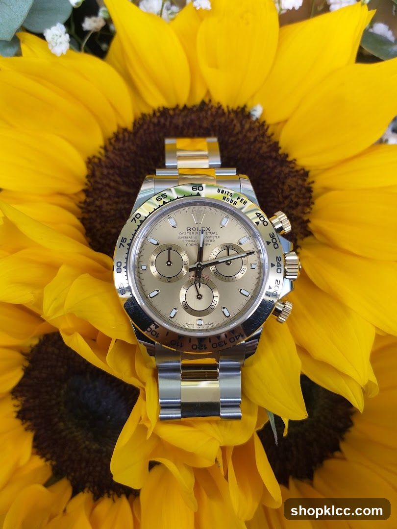 Rolex Daytona on Sunflower