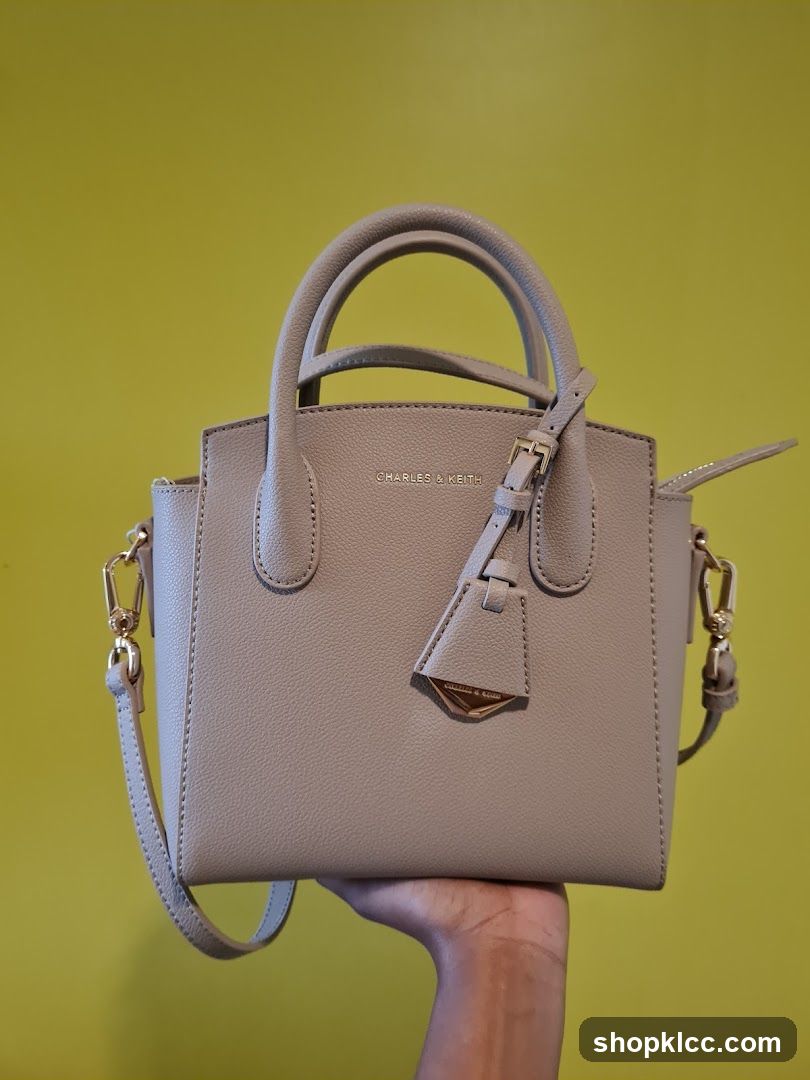 Charles & Keith Handbag