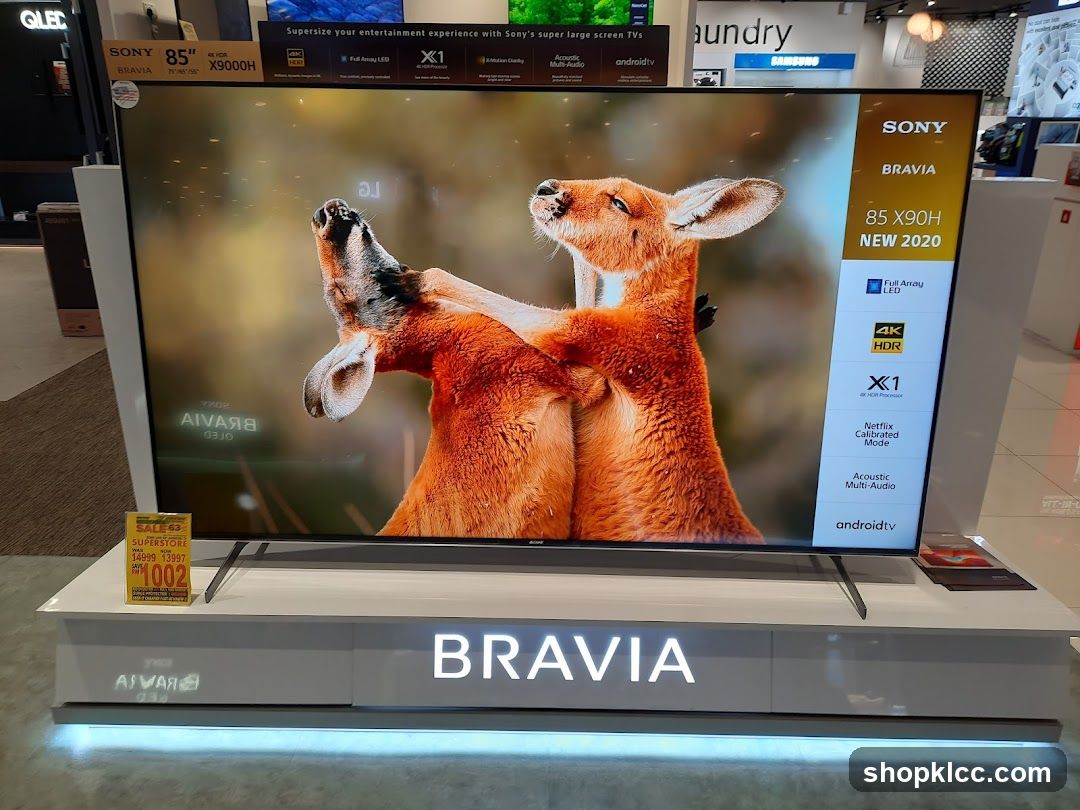 Sony Bravia TV Display