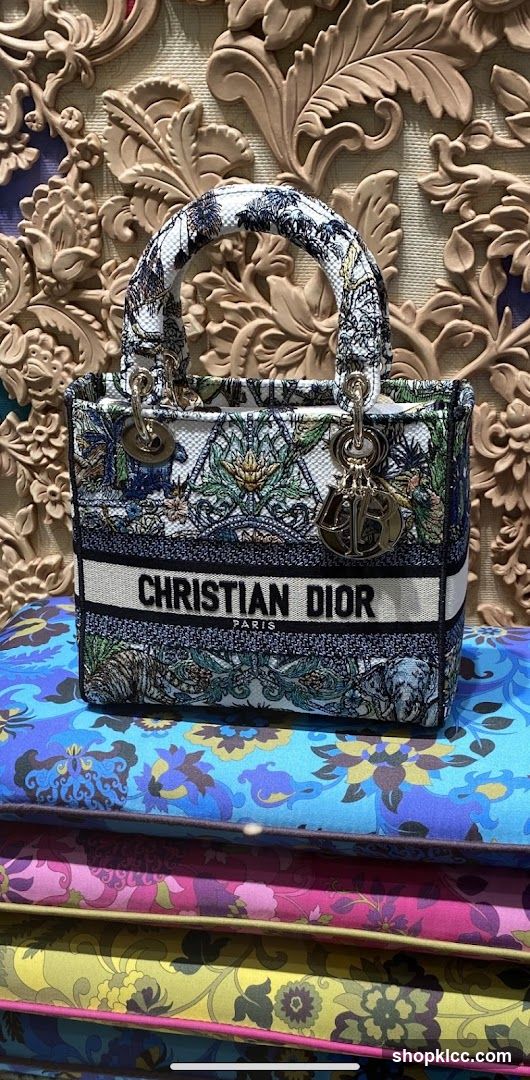 Christian Dior Handbag