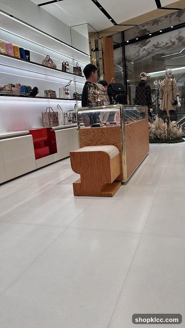 Luxury Handbag Display
