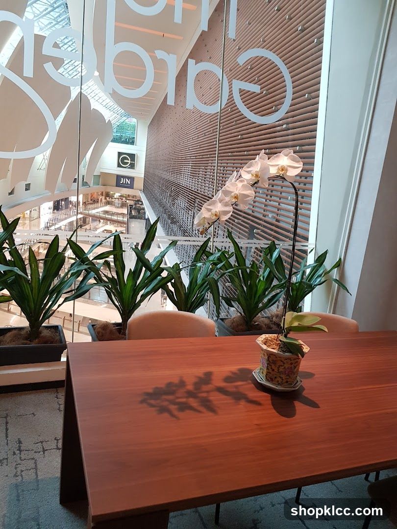 Orchid on a table overlooking a mall