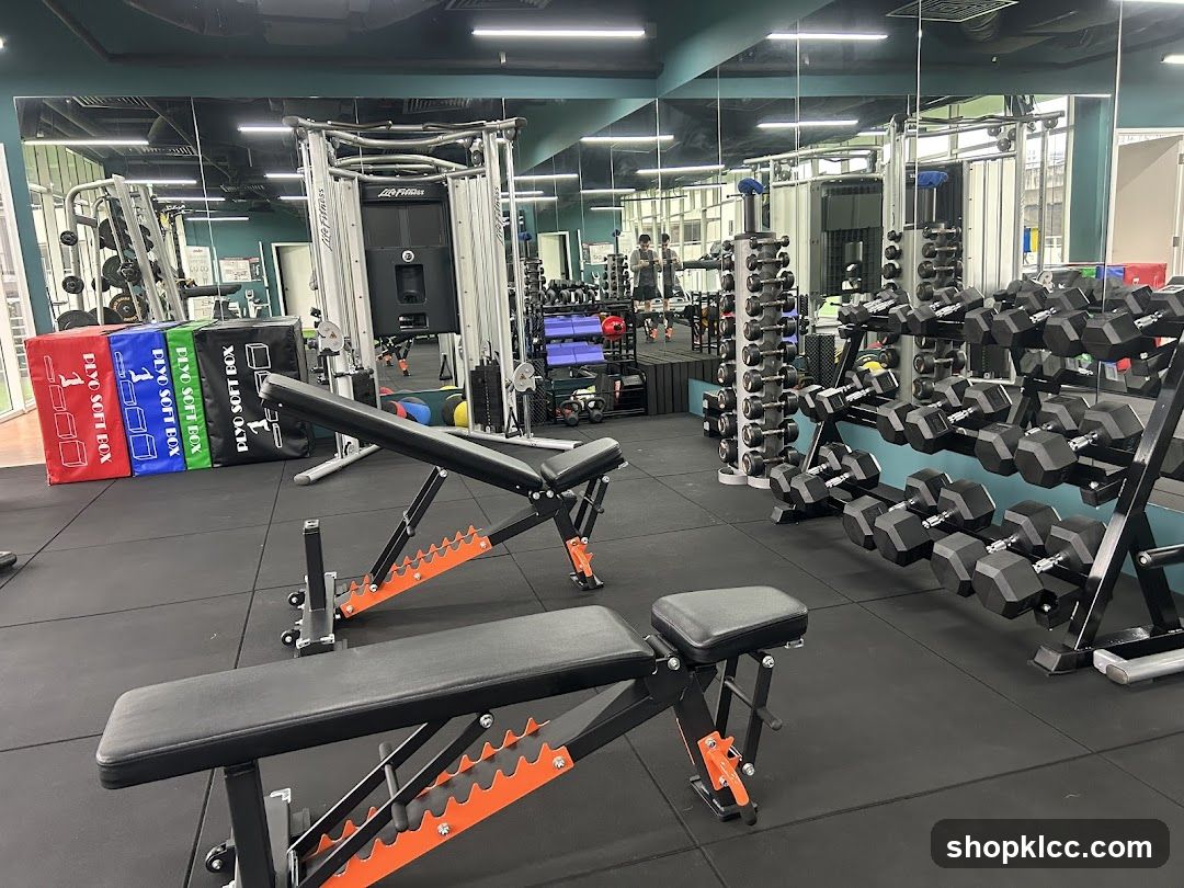 Gym Equipment