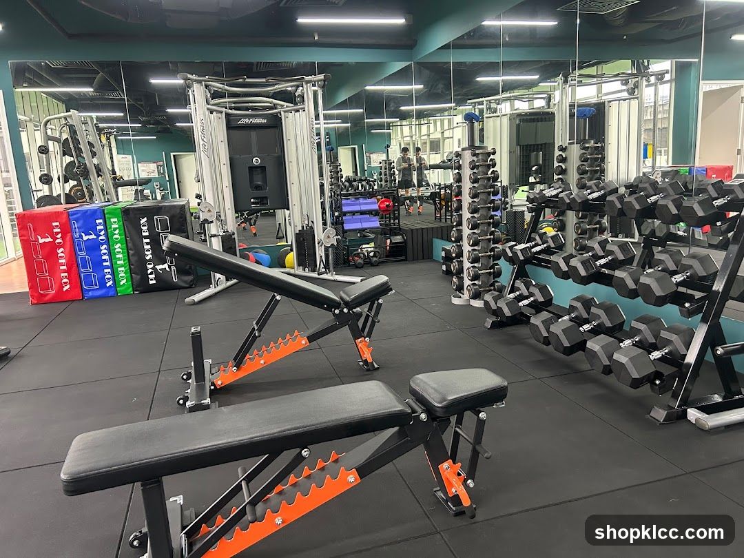 Gym Equipment