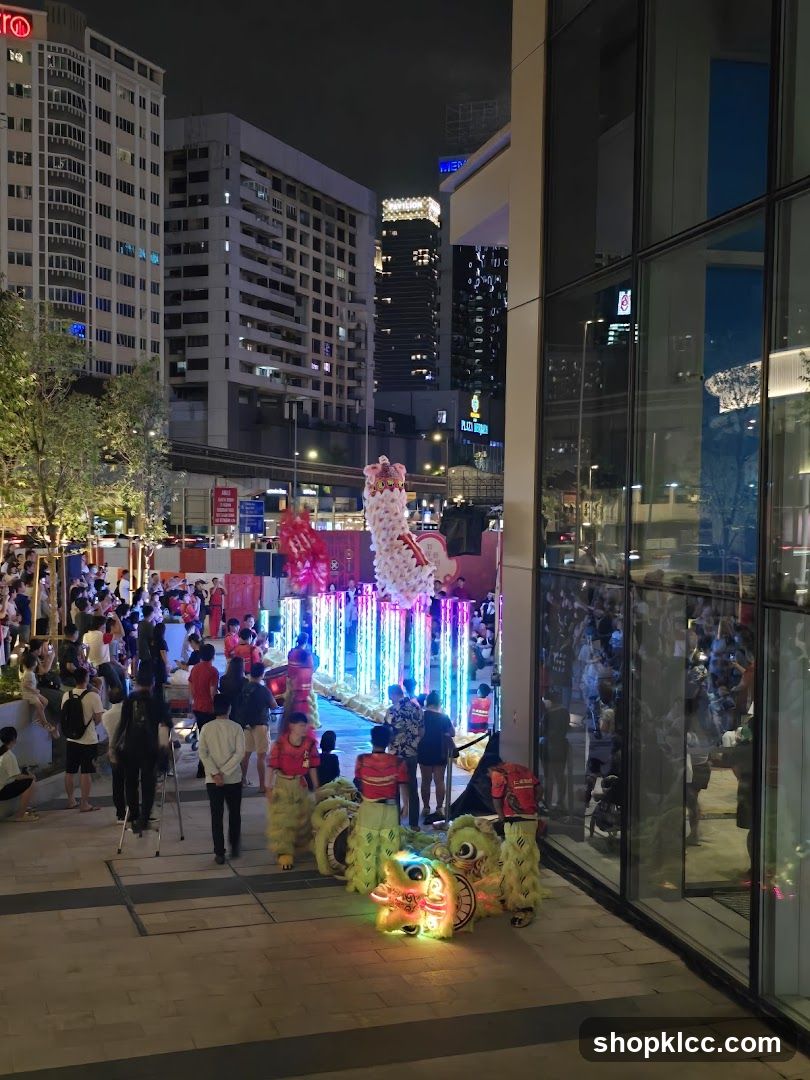 Lion Dance Performance