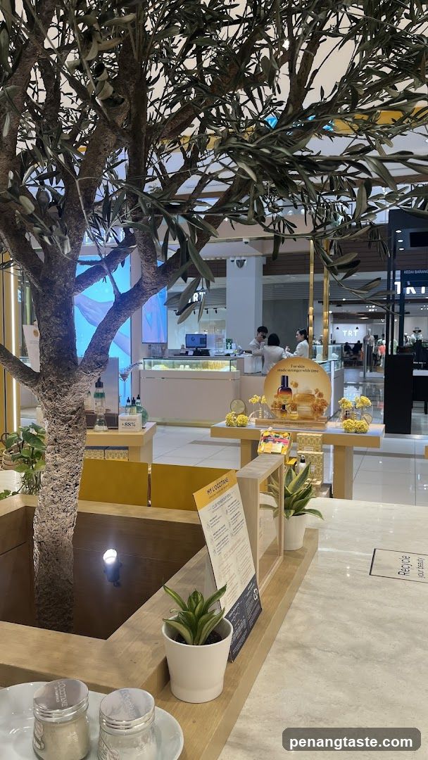 L'Occitane Store Display