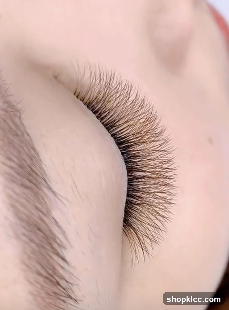 Close-up of eyelashes and eyebrow
